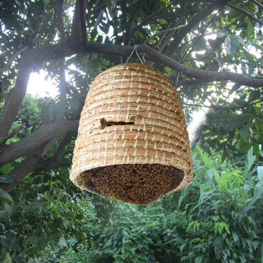 Coșniță pentru roi – din stuf natural, 38 × 38 cm, impletita manual