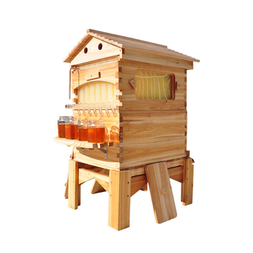 Stup Flow Hive automat – cu 7 Rame pentru recoltare miere
