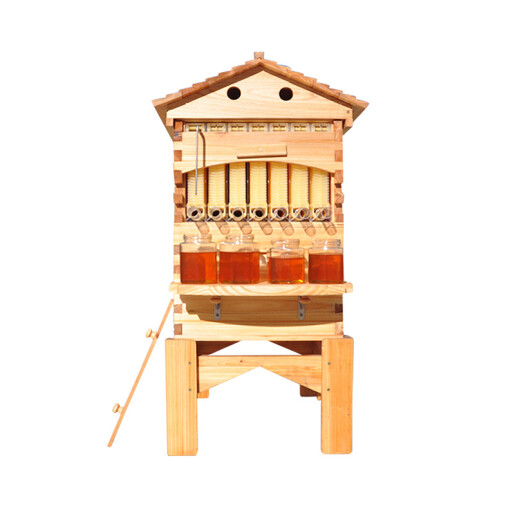 Stup Flow Hive automat – cu 7 Rame pentru recoltare miere