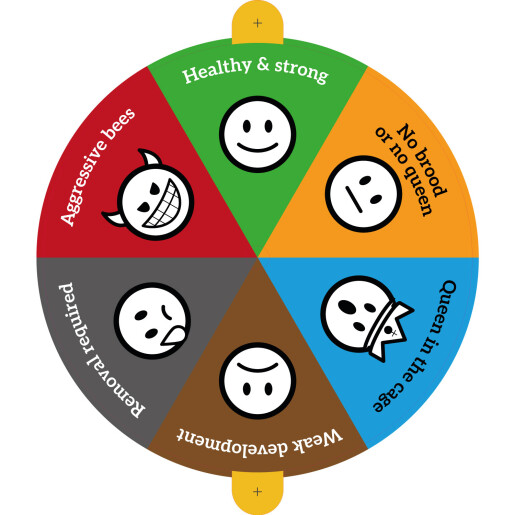 Marker status stup – control rapid și organizare eficientă în stupină 