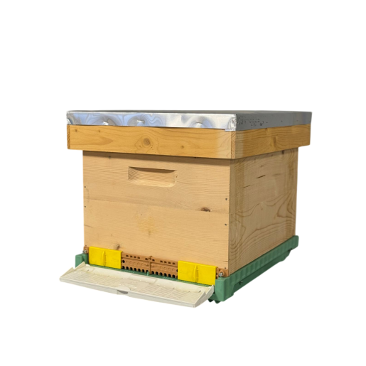 Stup din lemn de brad pentru 10 rame Dadant 1/1 – cu fund antivarooa, din plastic si colector de polen Apimaye, cuib 1/1, podișor și capac din tablă zincată