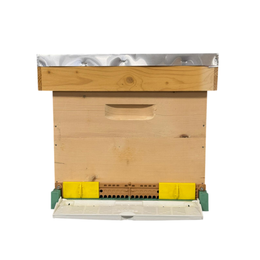 Stup din lemn de brad pentru 10 rame Dadant 1/1 – cu fund antivarooa, din plastic si colector de polen Apimaye, cuib 1/1, podișor și capac din tablă zincată