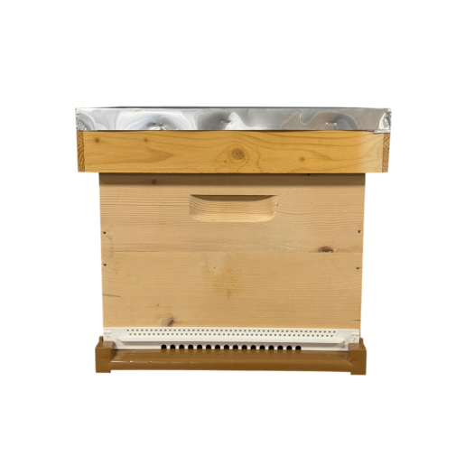 Stup din lemn de brad pentru 10 rame Dadant 1/1 – cu fund antivarooa din plastic Nicot, cuib 1/1, podișor și capac cu tablă zincată