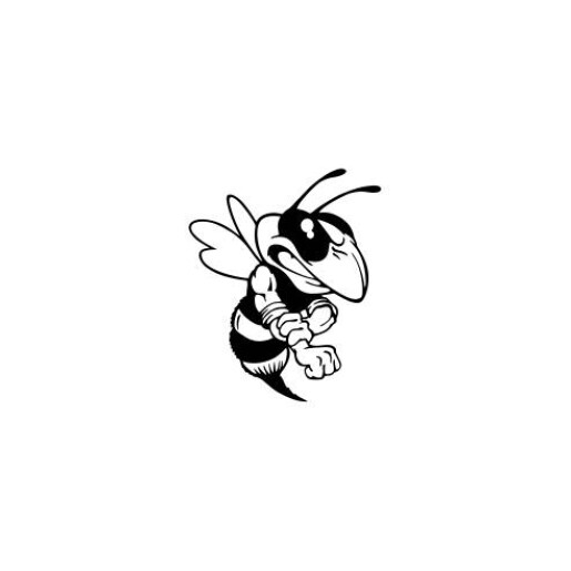 Stiker auto, albinuta negru