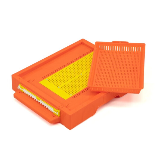 Fund pentru stup, din plastic, cu colector de polen