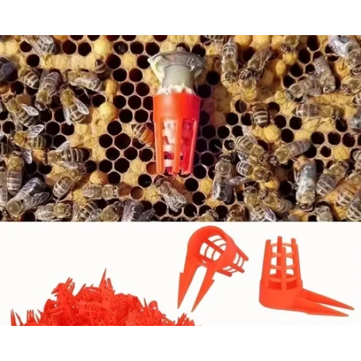 Protectie botca cu pini