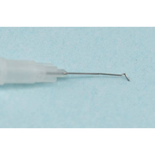 Ac ventral pt. inseminare