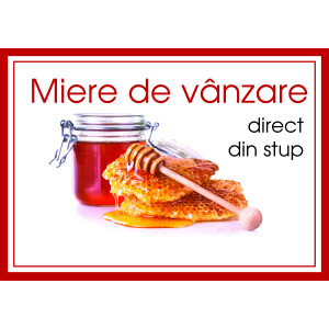 Placa PVC - Miere de vanzare direct din stup