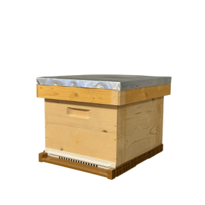 Stup din lemn de brad pentru 10 rame Dadant 1/1 – cu fund antivarooa din plastic Nicot, cuib 1/1, podișor și capac cu tablă zincată