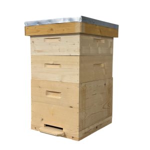 Stup din lemn de brad pentru 10 rame Dadant 1/1 – cu fund din lemn cu plasă antivarooa cu plasă zincată, cuib 1/1, două corpuri 1/2, podișor și capac cu tablă zincată
