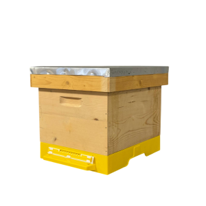 Stup din lemn de brad pentru 10 rame Dadant 1/1 – cu fund antivarooa din plastic si colector de polen, cuib 1/1, podișor și capac cu tablă zincată