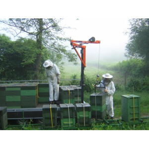 Macara apicola, lungime 3 m, inaltime 2 m, sarcina la varf 100 kg, rotire 360 grade fara autopropulsie