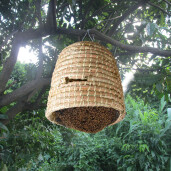Coșniță pentru roi – din stuf natural, 38 × 38 cm, impletita manual