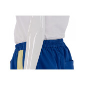 Pantaloni apicoli, Albastru, Sport (Color line)