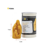 Forma silicon, Familia sfanta