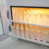 Incubator pentru matci 196 botci