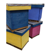 Nucleu de imperechere, vopsit(culori variate), 6 rame, din lemn de brad, Dadant, 51x29cm, cu capac, podisor si fund de plastic Nicot 