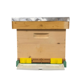 Stup din lemn de brad pentru 10 rame Dadant 1/1 – cu fund antivarooa, din plastic si colector de polen Apimaye, cuib 1/1, podișor și capac din tablă zincată