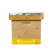 Stup din lemn de brad pentru 10 rame Dadant 1/1 – cu fund antivarooa din plastic si colector de polen, cuib 1/1, podișor și capac cu tablă zincată