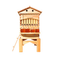 Stup Flow Hive automat – cu 7 Rame pentru recoltare miere