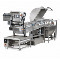 Linie profesională de extracție a mierii LYSON Professional Premium Line W20951_P2 – 40 rame, descăpăcitor PREMIUM, conveior profesional filetat pentru căpăceală, sistem manual de transfer al ramelor – 230V