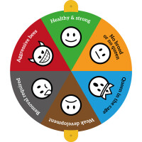 Marker status stup – control rapid și organizare eficientă în stupină 