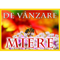 Placa PVC- De vanzare miere