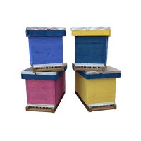 Nucleu de imperechere, vopsit(culori variate), 6 rame, din lemn de brad, Dadant, 51x29cm, cu capac, podisor si fund de plastic Nicot 