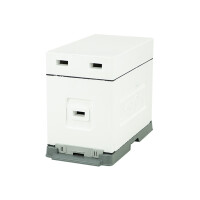 Stup de depozitare/transport, 6 rame, nevopsit